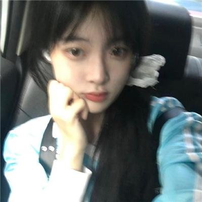 鲨与鲸